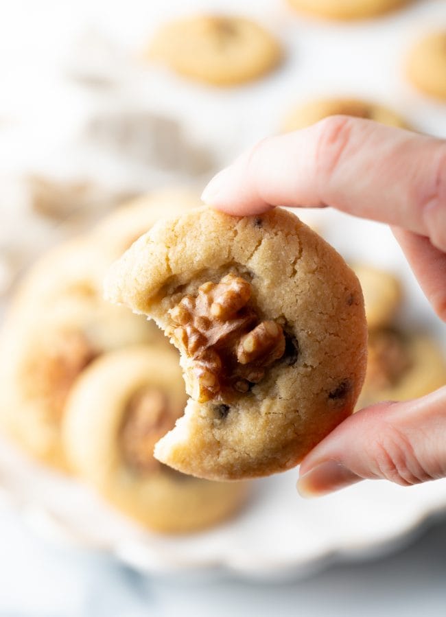 hand holding walnut and chocolate chip cookie to camera, with bite taken out
