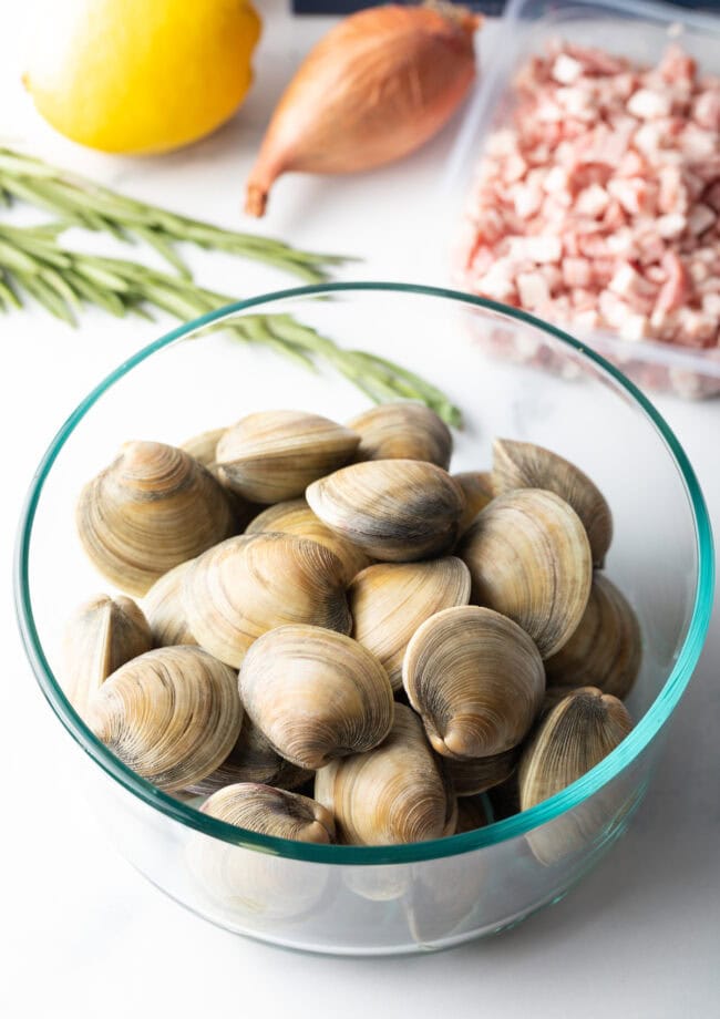 littleneck clams for vongole