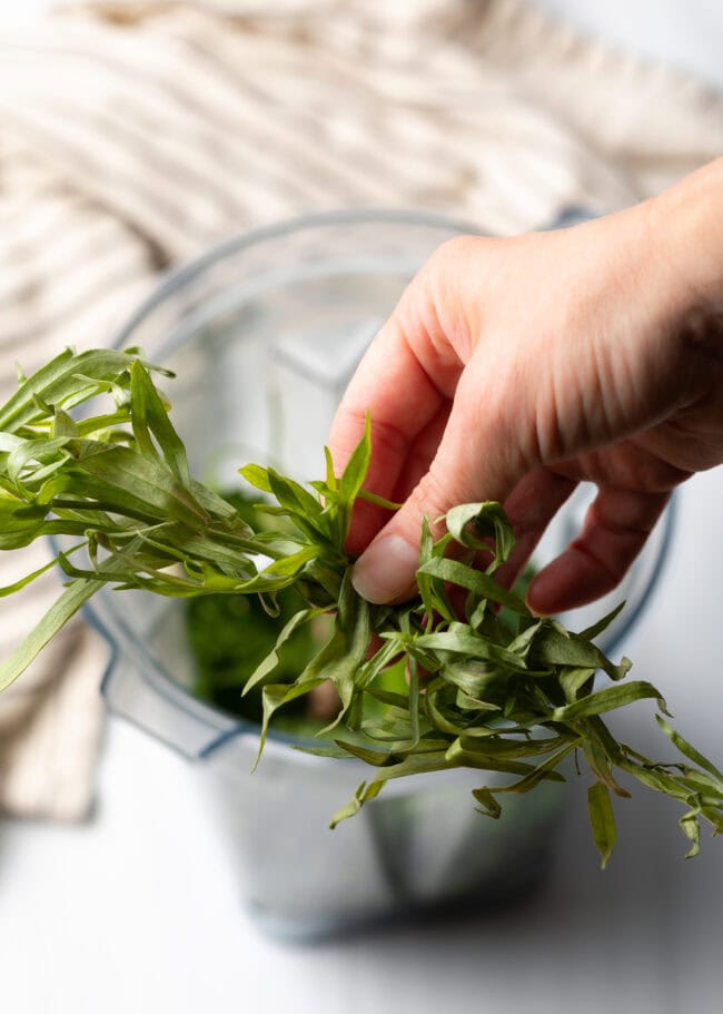 Hand adding fresh tarragon to blender jar.