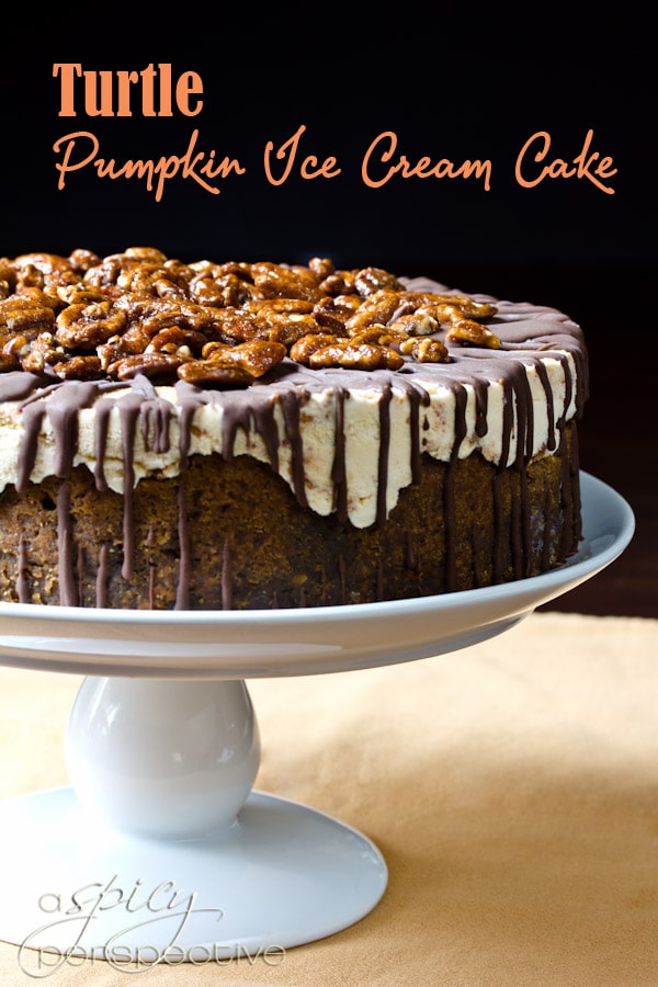 ice cream cake from the side on a cake stand with words "turtle pumpkin ice cream cake"