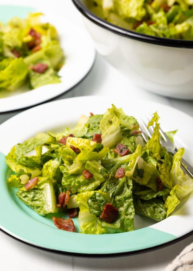 side view killed lettuce salad on a white and teal plate